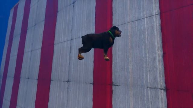 SHINCHAN AND FRANKLIN TRIED THE IMPOSSIBLE CURVY & BUMPY ROAD SEA CHALLENGE IN GTA 5 смотреть онлайн