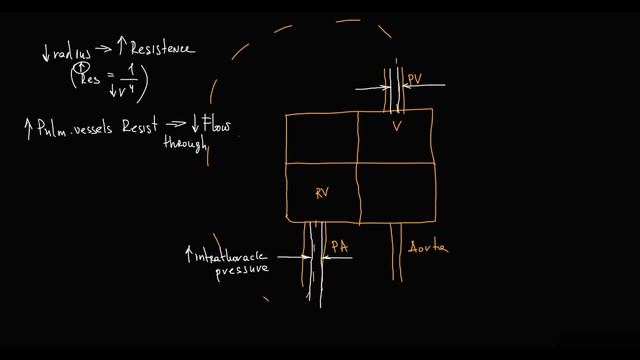 Physiology: Hemodynamics Of A Valsalva Maneuver