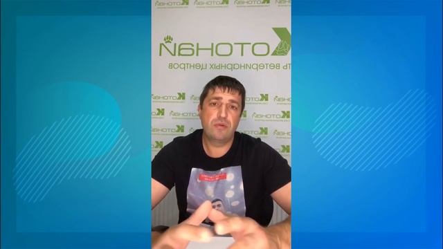 О чем говорит Котонай. смотреть онлайн