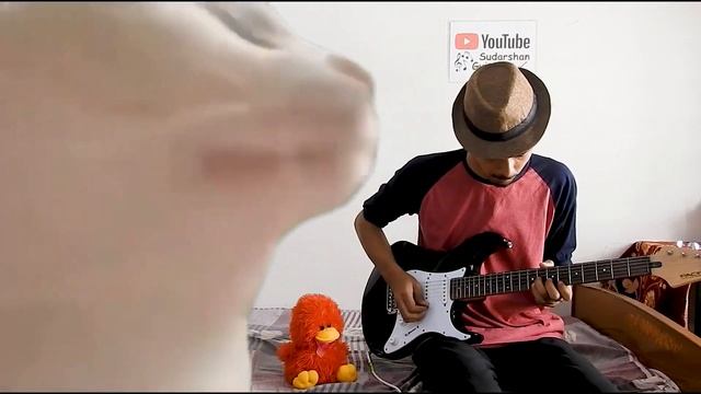 Cat Vibing To Levan Polkka On ELECTRIC GUITAR ft.@BilalGoregen смотреть онлайн