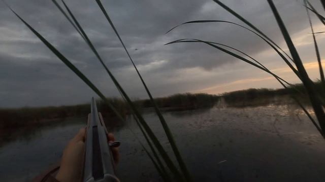 Охота на утку и гуся сезон 2021-2023 только выстрелы смотреть онлайн