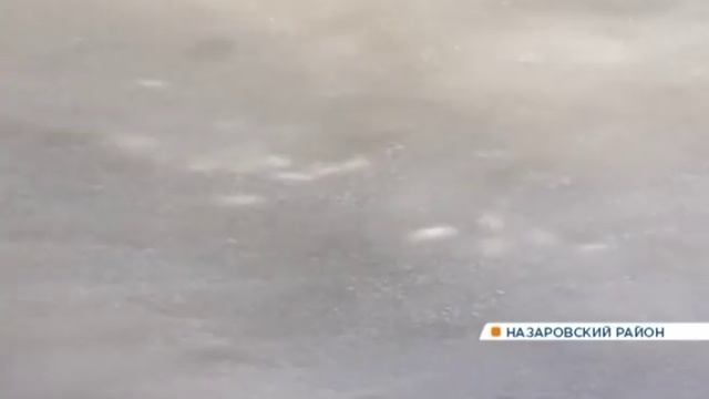 В реке Сереж Назаровского района массово гибнет рыба смотреть онлайн