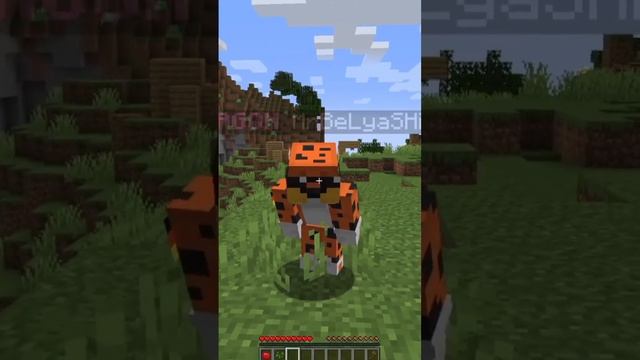 Айпи mc.reallyworld.ru #домер #админ #риливорлд #domer #reallyworld #minecraft #майнкрафт смотреть онлайн