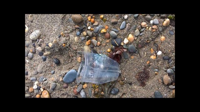 Plastic problems - Academic English смотреть онлайн