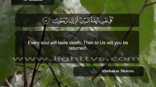 161 / Juz 21 / Al-'Ankabut - The Spider (46-69) / Abu Bakr Al Shatri