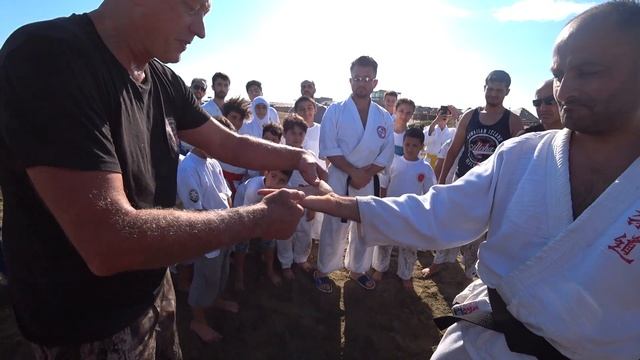 Вадим Старов семинар в Баку Евразия Айкидо, Реальное Айкидо, Дзюдо, Айки-Дзюдзюцу. Азербайджан 2023 смотреть онлайн