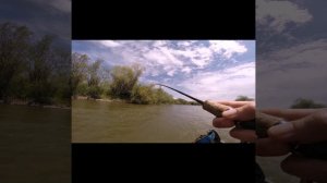 Ловля форели по мутной воде ! Легко и просто !