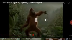 Абезяна танцует
