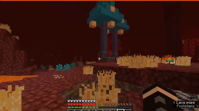 Complete 1.16 Nether Overhaul 1.12.2 & 1.14.4 Forge Mod Overview (1.12.2 unstable, use at own risk) смотреть онлайн