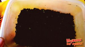 Ферментированный чай из листьев топинамбура.