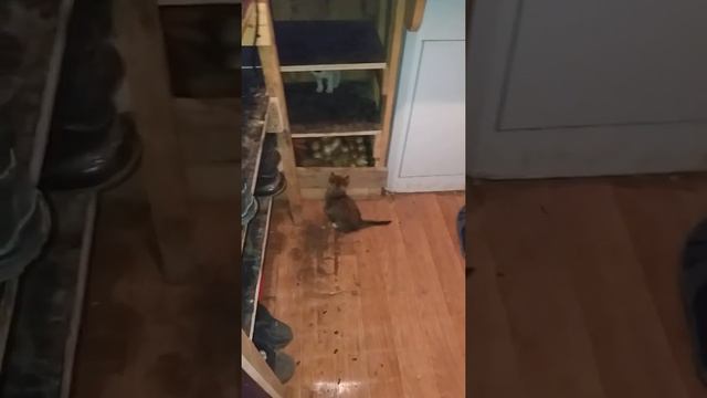 Будет время смотреть онлайн