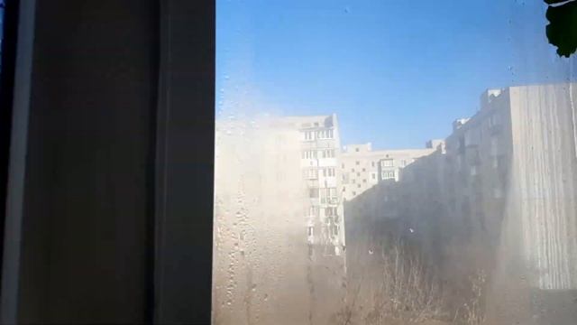 Как зимует моя пеларгония. Как обрастает пеларгония спустя неделю после обрезки. Обзор кустиков. смотреть онлайн