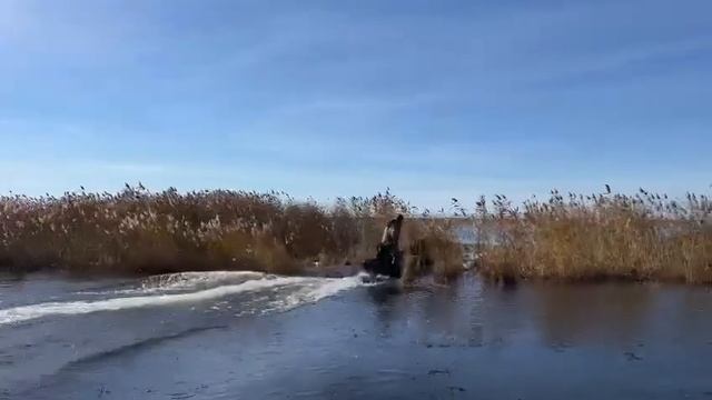 24 июля 2023 г. смотреть онлайн