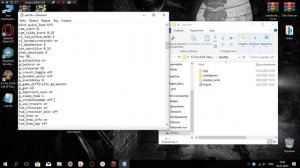 S.T.A.L.K.E.R. как сделать бессмертие и бесконечные патроны