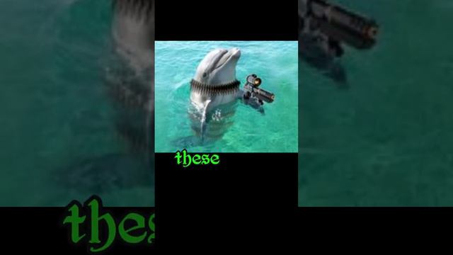 animals you wouldn't believe were used in wars episode 3 #history #thebackroomofhistory смотреть онлайн