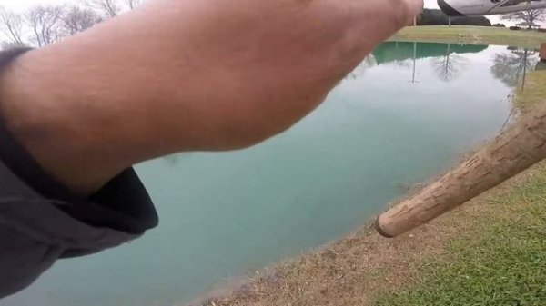 Gulp Alive Minnows ( Catfishing)