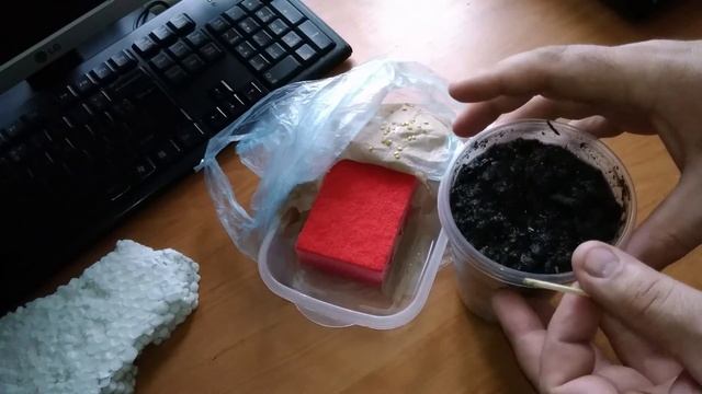 Высадка перца огонек в грунт. Пенопласт как дренаж смотреть онлайн