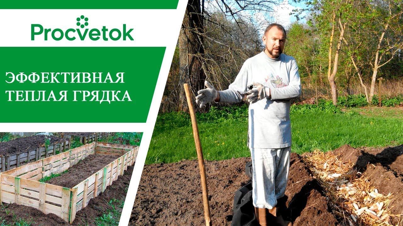 Теплая грядка. Как сделать теплые грядки - рекомендации эксперта.