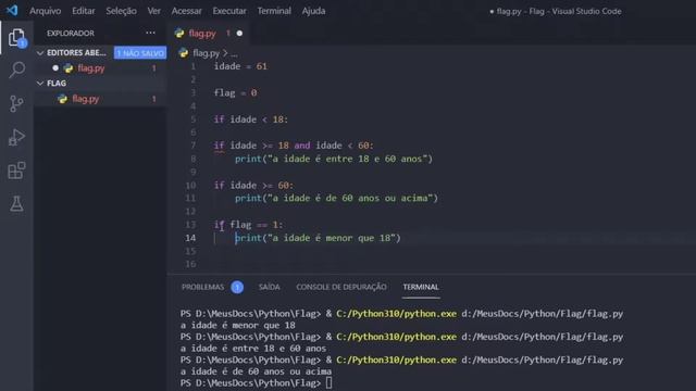 #python Como Utilizar o Conceito de Flag na Programação смотреть онлайн