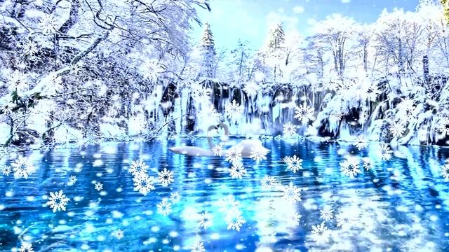 Очень красивый футаж белые лебеди зима снежинки прекрасная музыка и пение птиц смотреть онлайн