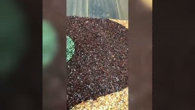 Каменный ковер из крошки фельзита, яшмы и змеевика смотреть онлайн