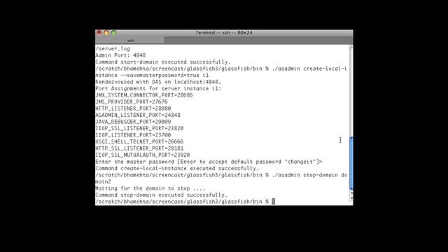 change-master-password command in GlassFish 3.1 смотреть онлайн