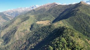 Идрис Цицкиев - Безам (Ингушская мелодия).