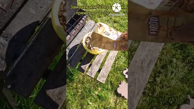 Салаты с Пармезаном