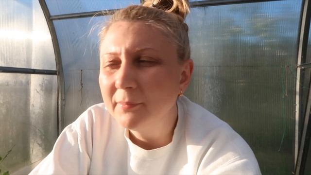 ВЛОГ: Занимаемся травой /Пристраиваем котенка /Улучшилось самочувствие смотреть онлайн