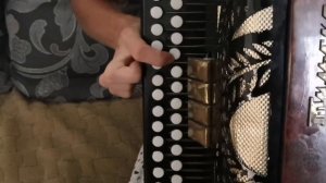 Чёрная смородина-разбор на гармони