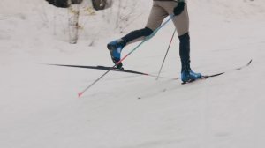 Есть ли альтернатива топовым брендам беговых лыж? | Karhu, Kastle, Skitrab