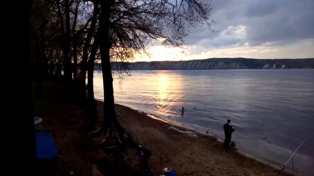 Молодой олень переплыл Волгу к санаторию Нива Саратовская область смотреть онлайн