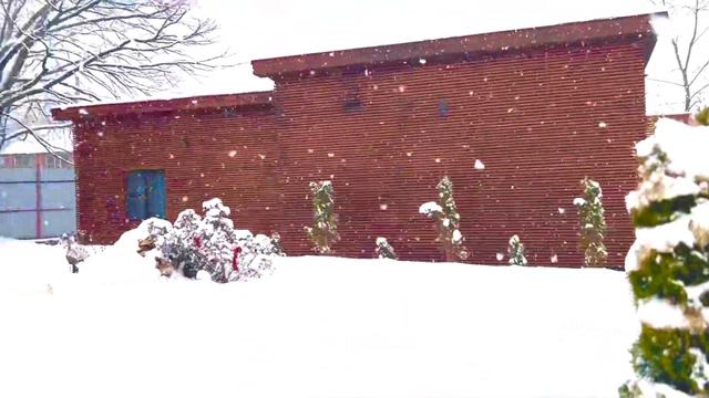 @dacha place смотреть онлайн