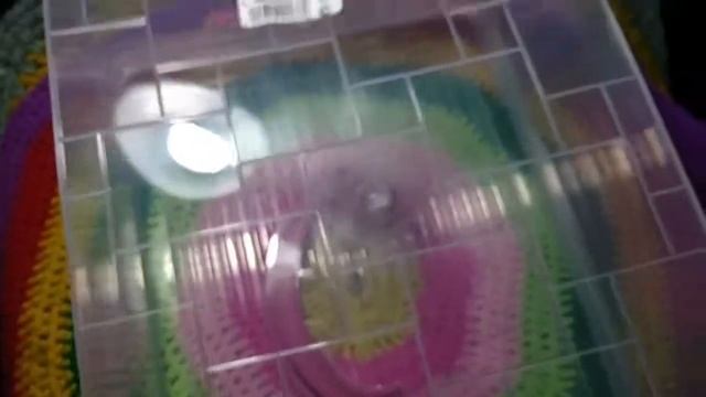 Контейнер Майбокс 10 л