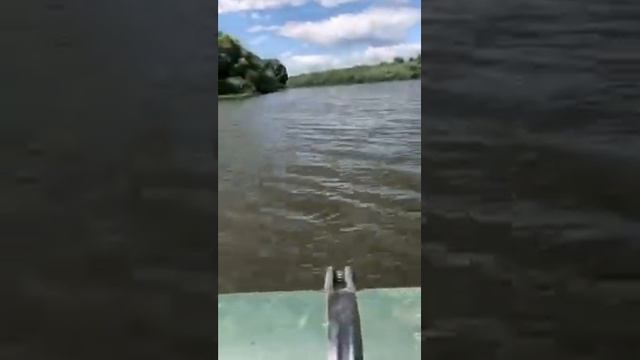 вы до сих пор думаете что Лодочный мотор 9.9 4т по скорости уступает 9.9-9.8 2т? смотреть онлайн