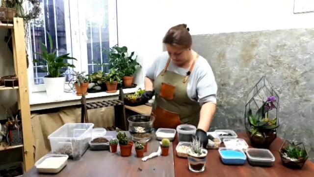 Вебинары "Как создать флорариум" смотреть онлайн