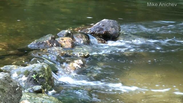 Река Тихая Сосна, Дивногорье смотреть онлайн