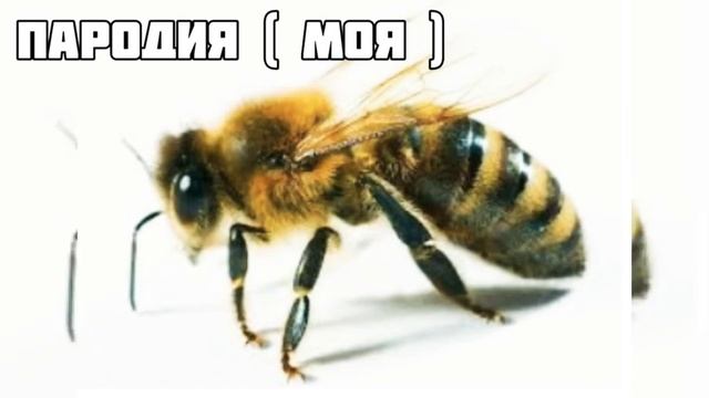 Сделал Пародию На Песню "А Муха Тоже Вертолет" | Нас Уже 100... смотреть онлайн