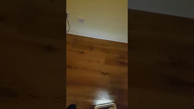 Rowenta AIR Force 360. Test auf drei verschiedenen Oberflächen. смотреть онлайн