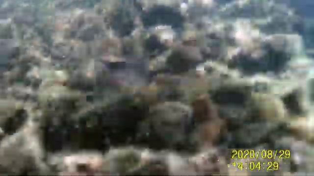 под водой дигма 145 смотреть онлайн