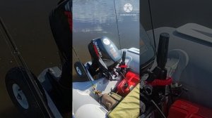 suzuki 15 против tohatsu 18