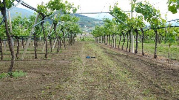 T7 LITE VS TRIP (MAX VOLUME TEST 3-5-10 METERS)