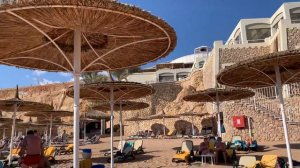 Отель Риф Оазис бич Резорт Египет Шарм эль Шейх 2.02.2021