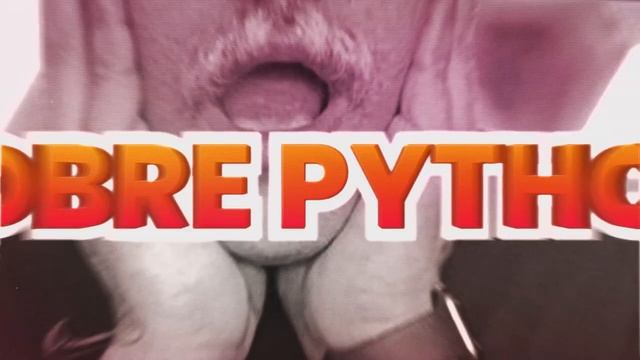 A PYTHON WEEK ESTÁ CHEGANDO! смотреть онлайн