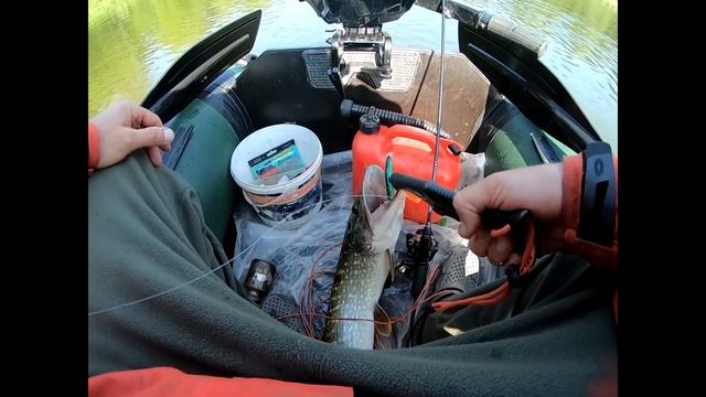 Щука 3 кг на спининг!!!! Сейм, рыбалка смотреть онлайн