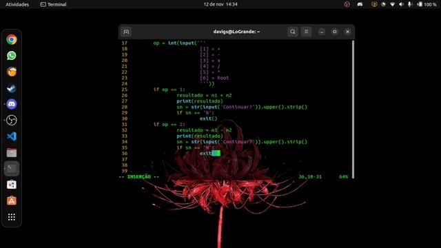 Iniciante em Python 3 - Programando uma Calculadora simples usando o VIM смотреть онлайн