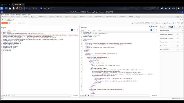 PORTSWIGGER WEB SECURITY ACADEMY SQL Injection - Lab #12 смотреть онлайн