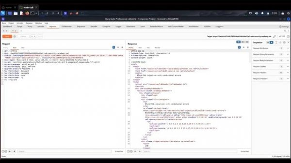 PORTSWIGGER WEB SECURITY ACADEMY SQL Injection - Lab #12