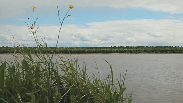 О любви и справедливости между людьми.Что делать, если сын пьет? смотреть онлайн