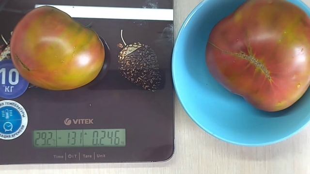 Томат ЧЁРНЫЙ АНАНАС в разрезе. Обзор куста томата. смотреть онлайн